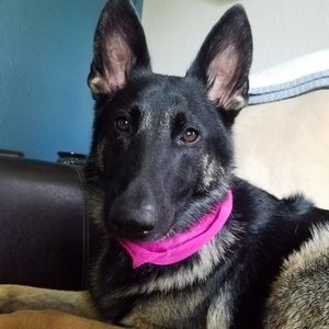 Meet your Posher, Traci